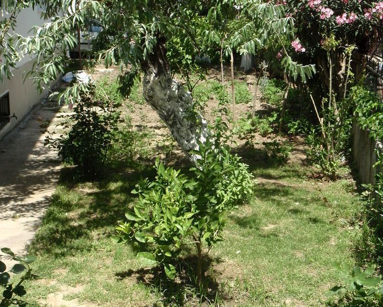 صورة الفندق 22