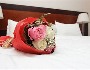 Quiet Dreams - Al Noor Branch Dahaban Saudi Arabia