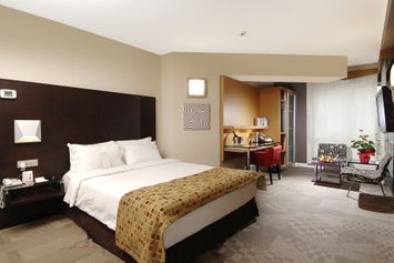 Nippon Hotel