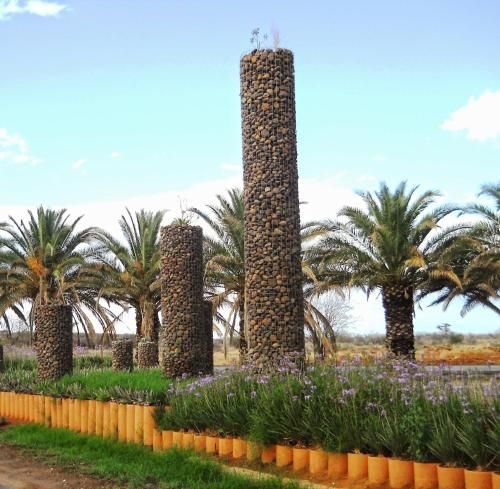 صورة الفندق 21