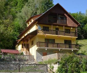 Casa Adina Rucar Romania