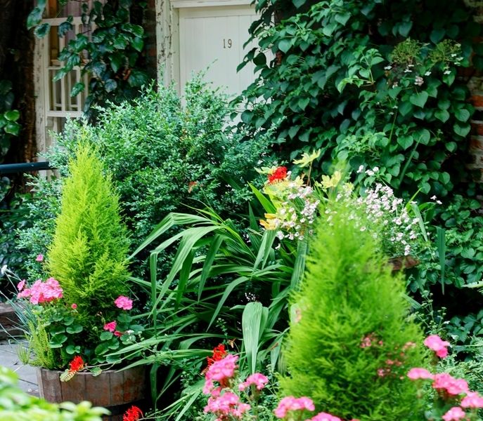 صورة الفندق 21
