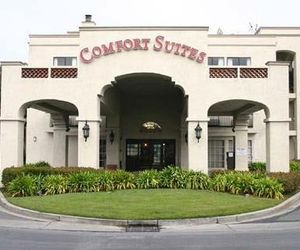 Comfort Inn & Suites San Francisco Airport North San Mateo United States