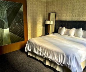 Hotel Chicago Downtown, Autograph Collection Chicago United States