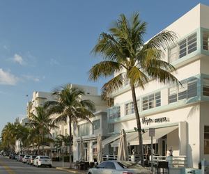 Penguin Hotel Miami Beach United States