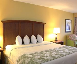 Rosen Inn International Near The Parks Bay Hill United States