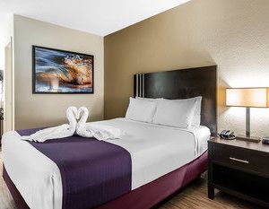 Avanti International Resort Bay Hill United States