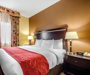 Comfort Suites East Douglass Hills United States