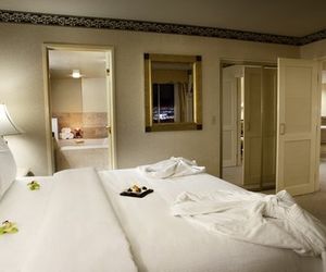 Park MGM Las Vegas Las Vegas United States