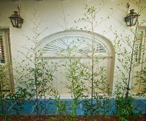 Melrose Mansion Suites New Orleans United States