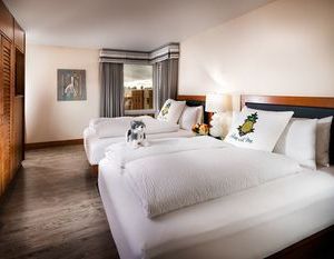 Staypineapple at Watertown Hotel Seattle United States