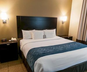 Comfort Suites Hobby Airport South Houston United States