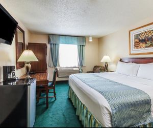 Super 8 by Wyndham Irving DFW Airport/South Irving United States