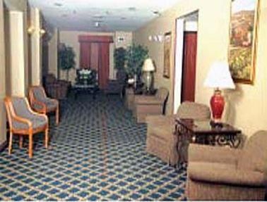 صورة الفندق 6