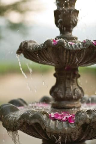 صورة الفندق 18