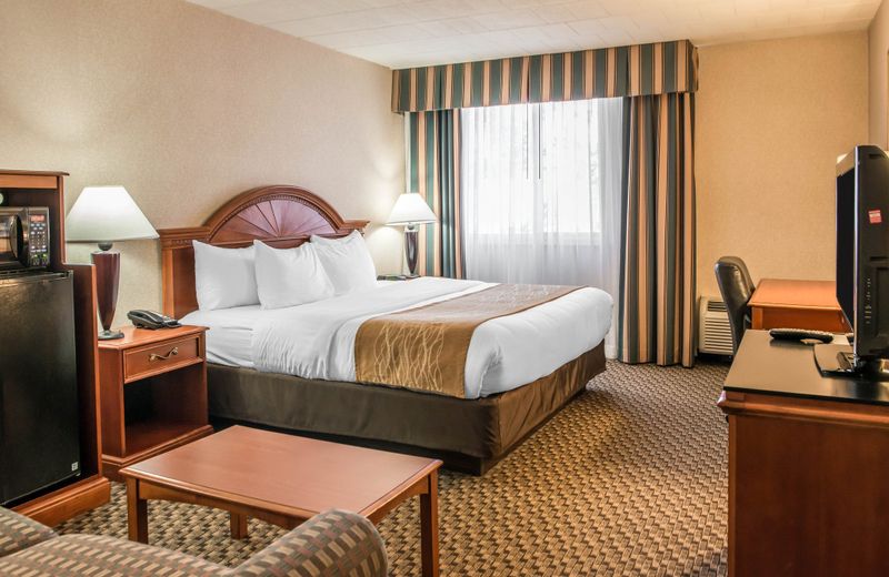 Comfort Inn and Suites Pittsburgh