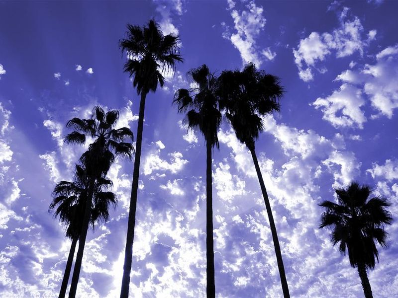 صورة الفندق 20