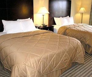 Comfort Inn & Suites Austin United States