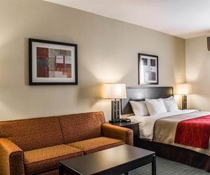 Comfort Inn & Suites Northeast - Gateway Pinellas Park United States
