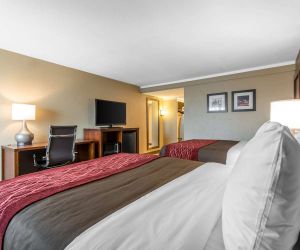 Comfort Inn Central Denver United States