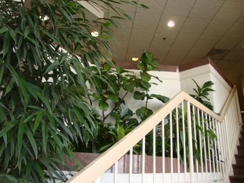 صورة الفندق 20