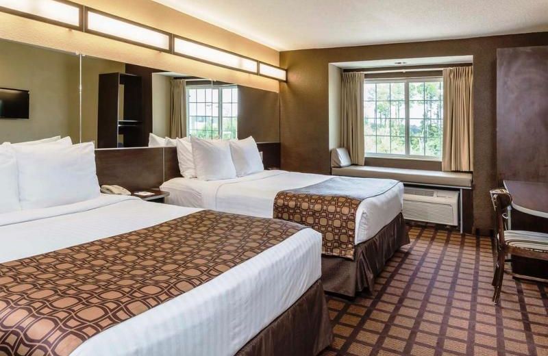 Microtel Inn & Suites by Wyndham Jacksonville Airport