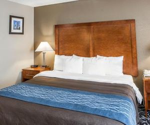 Comfort Inn South Indianapolis Indianapolis United States