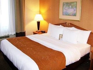 Hotel pic Comfort Suites NE Indianapolis Fishers
