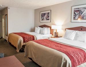 Comfort Inn Indianapolis South I-65 Indianapolis United States