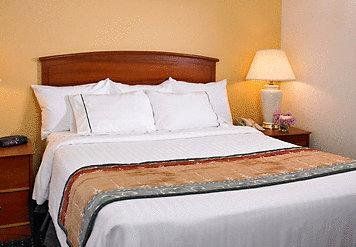 صورة الفندق 3