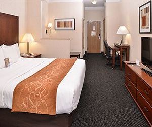 Comfort Suites Linn County Fairground and Expo Albany United States