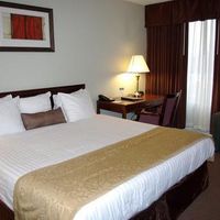 Best Western Sovereign Hotel - Albany