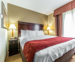 Comfort Suites North Knoxville Powell United States