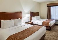 Отзывы Comfort Suites San Antonio North Stone Oak, 3 звезды
