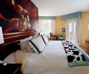 Hotel Indigo San Antonio Riverwalk San Antonio United States