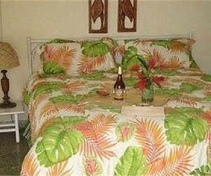 Paradise Trillium Villa Montego Bay Jamaica
