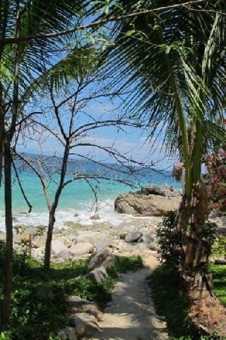 صورة الفندق 17