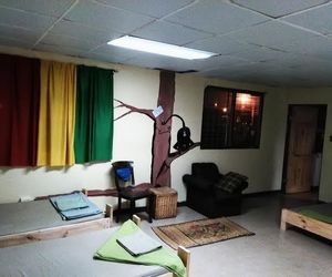 Monkeys Tribe Hostel San Jose Costa Rica