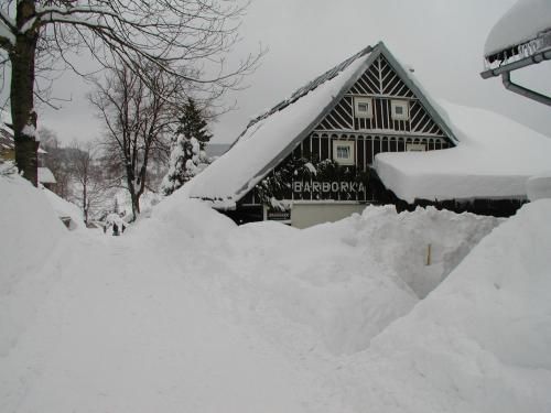 صورة الفندق 16