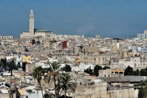 صورة الفندق 24