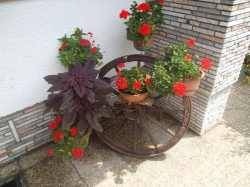 صورة الفندق 12
