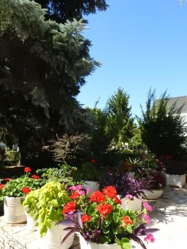 صورة الفندق 22