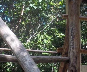 TREETOP PALAPA Puerto Morelos Mexico