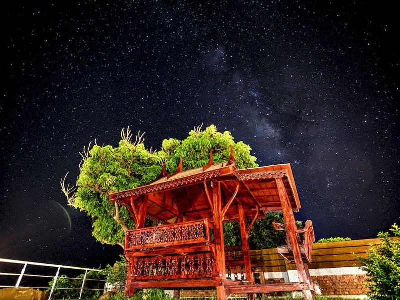 صورة الفندق 24