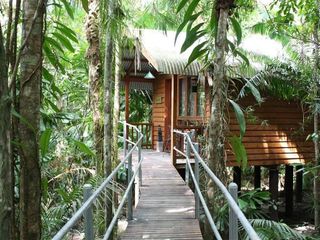 Фото отеля Daintree Wilderness Lodge
