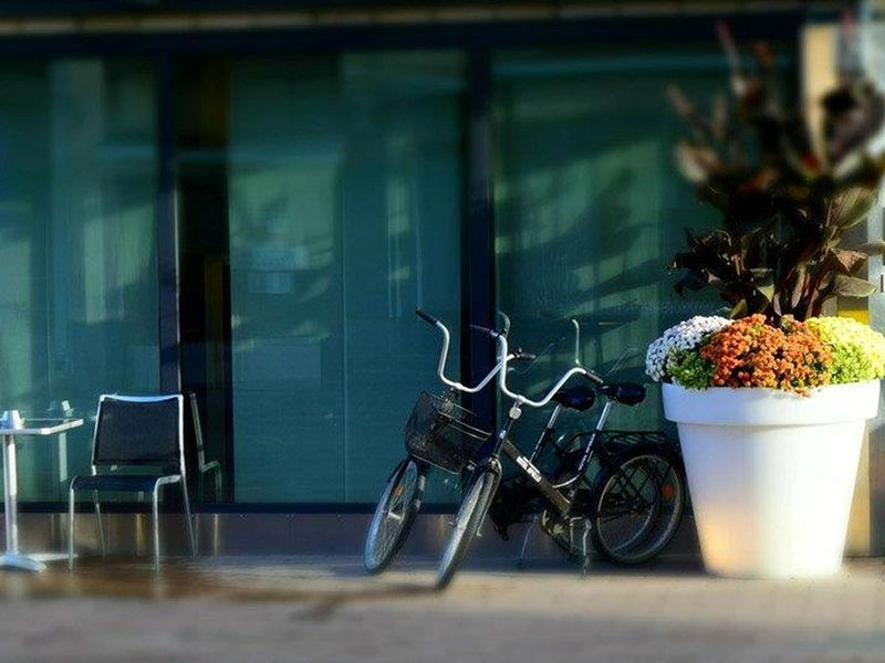 صورة الفندق 20
