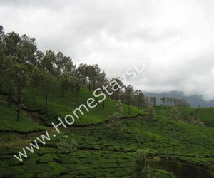 Stay in a Farm in Munnar Munnar India