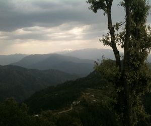 Tranquility In The Himalayas Chail India