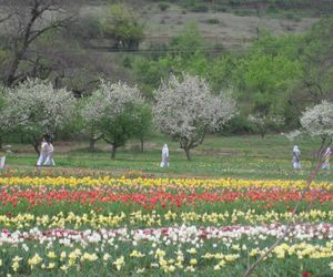 Family run Guest House Srinagar India