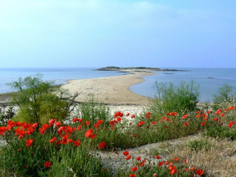 صورة الفندق 20